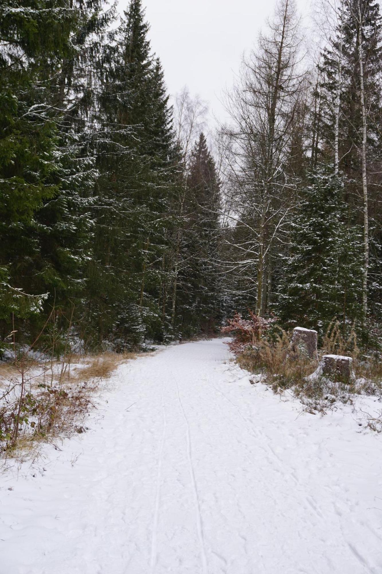 Muggelbude Im Harz 브라운라제 외부 사진
